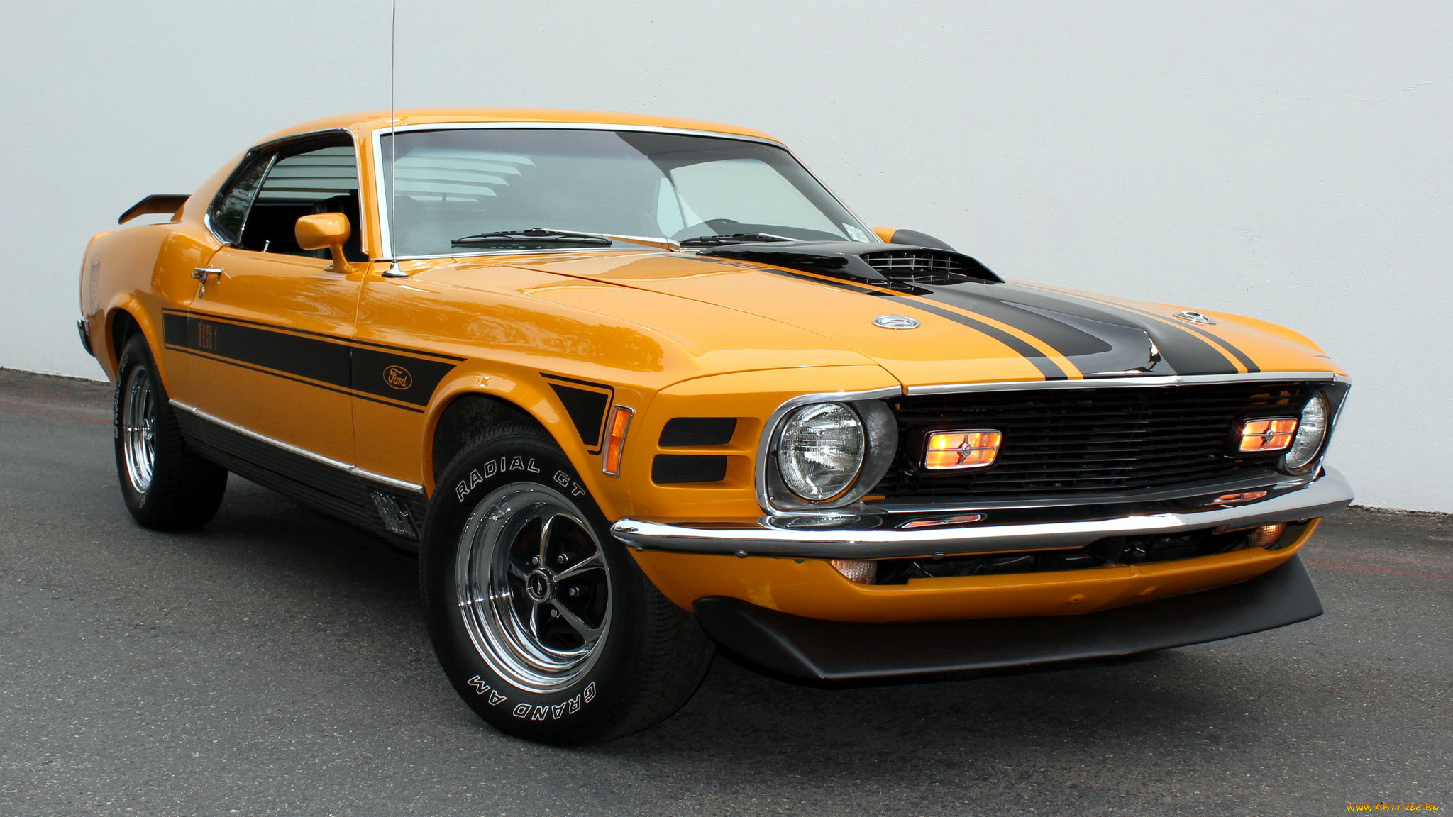 mustang, , ford, motor, company, 